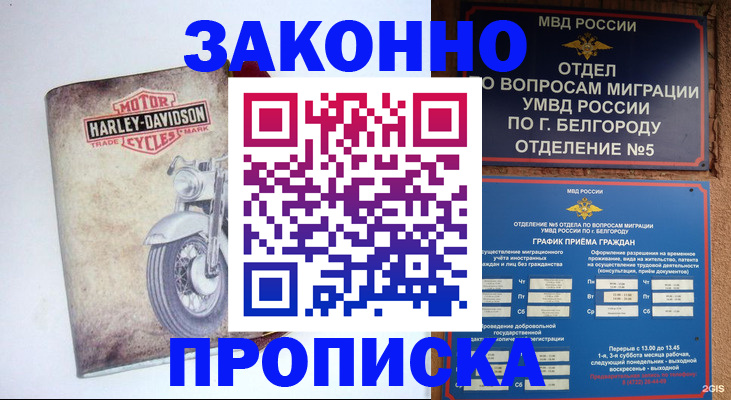 прописка для школы в Чехове